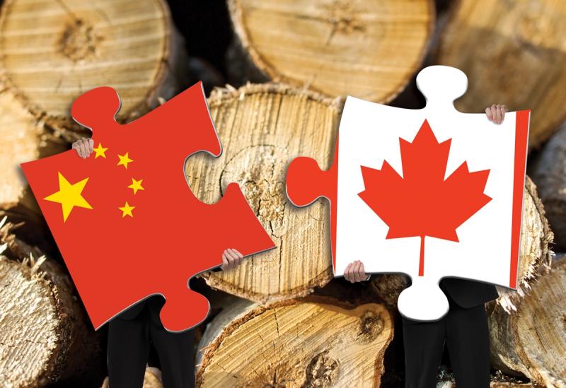 could-china-be-the-answer_image-1_wood