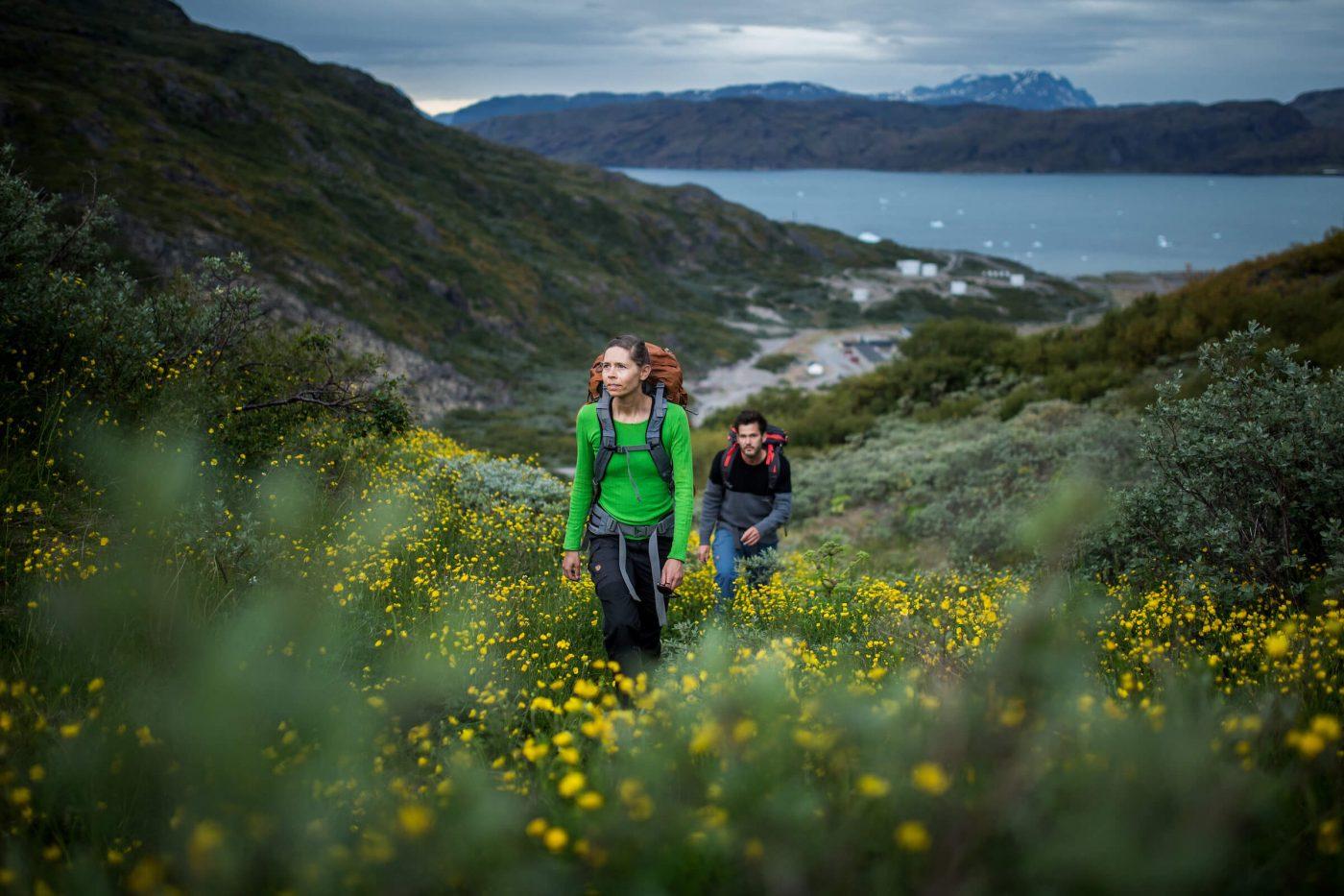 hiking-up-through-yellow-flowers-in-narsarsuaq-visitgreenland1-1400x933