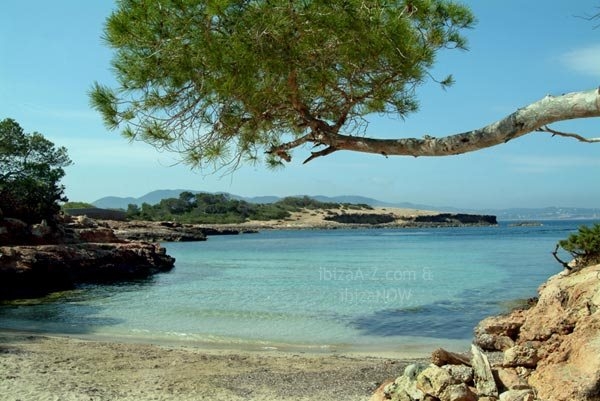 Cala-Gracioneta