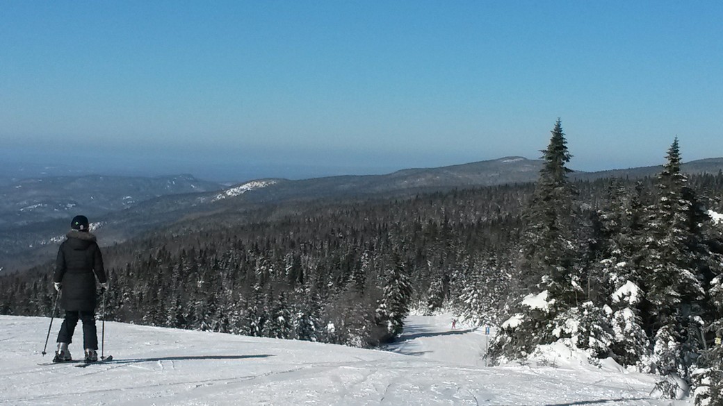 snowshoe1