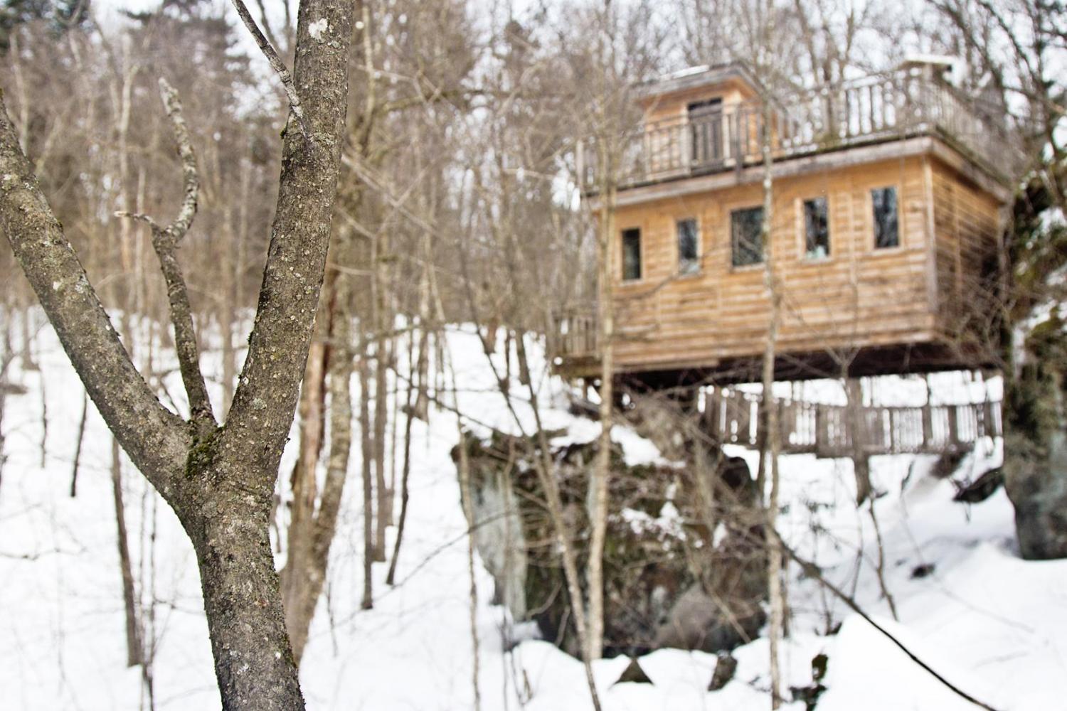 treem-mendous-tremblant-by-andre-gagne-photo-credits-various-10