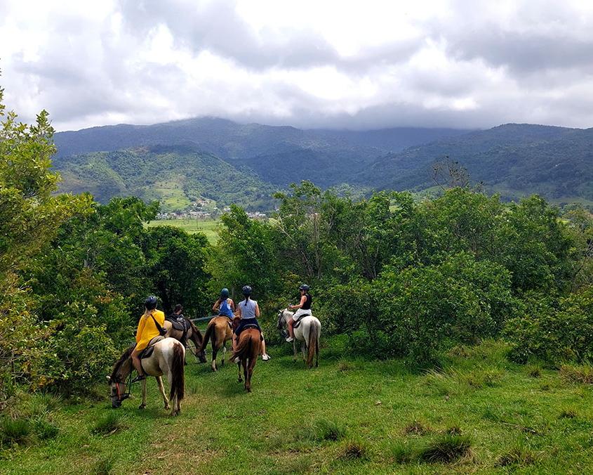Puerto Rico_Image 14_Hascienda 8A Horse riding tour