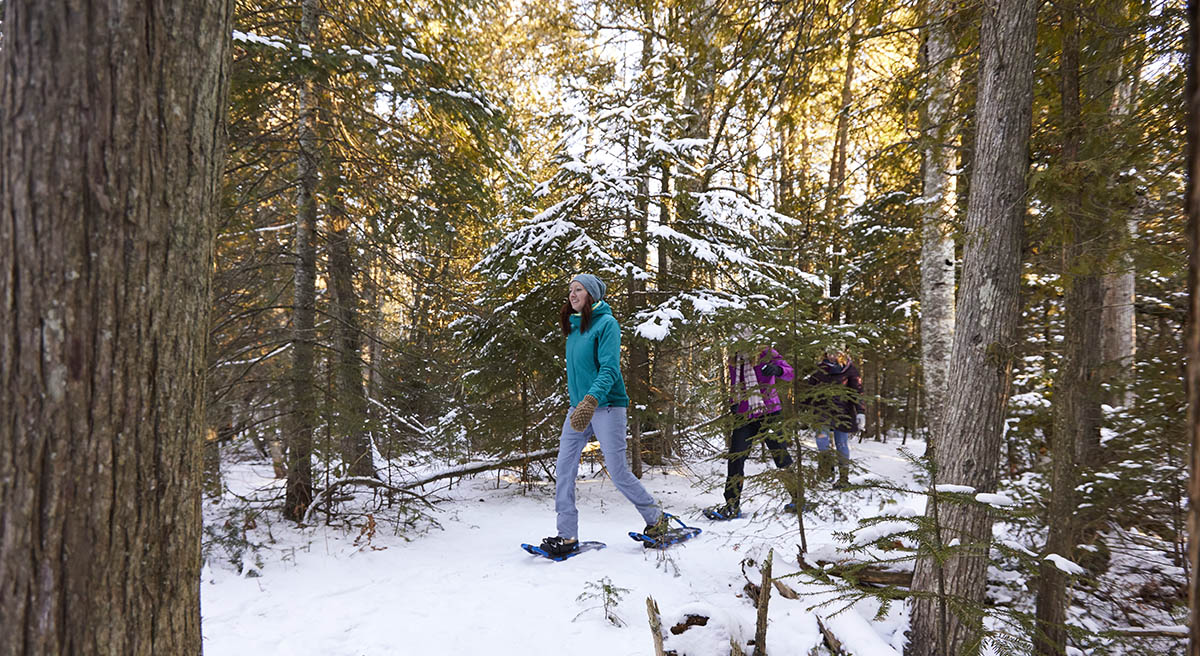 Door County- John Nienhuis - Ridges Sanctuary Snow Shoe_Sept 2023
