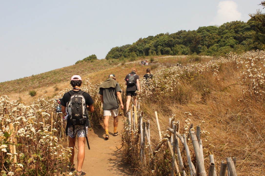 Exploring the forests of Doi Inthanon.
