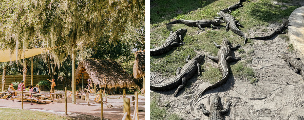 Kissimmee_Boggy Creek Airboat Adventures_May 2024 copy
