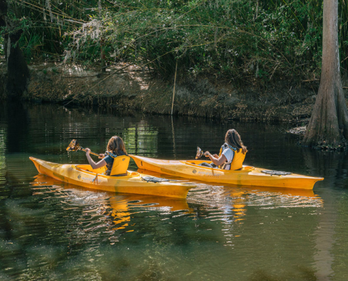 Kayaking on Shingle Creek