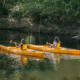 Kayaking on Shingle Creek