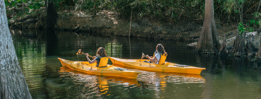 Kayaking on Shingle Creek