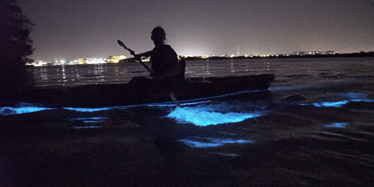 Space Coast_Bioluminescence_plankton_glow in the dark_kayaking_May 2024