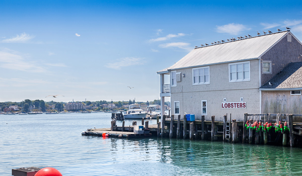Portland lobster business