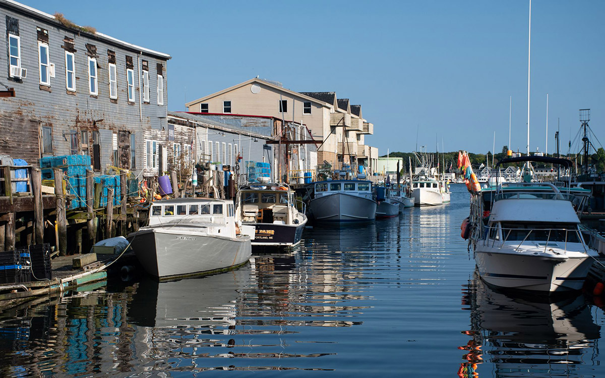 Portland_fishing boats_Carole Jobin_Oct 2024