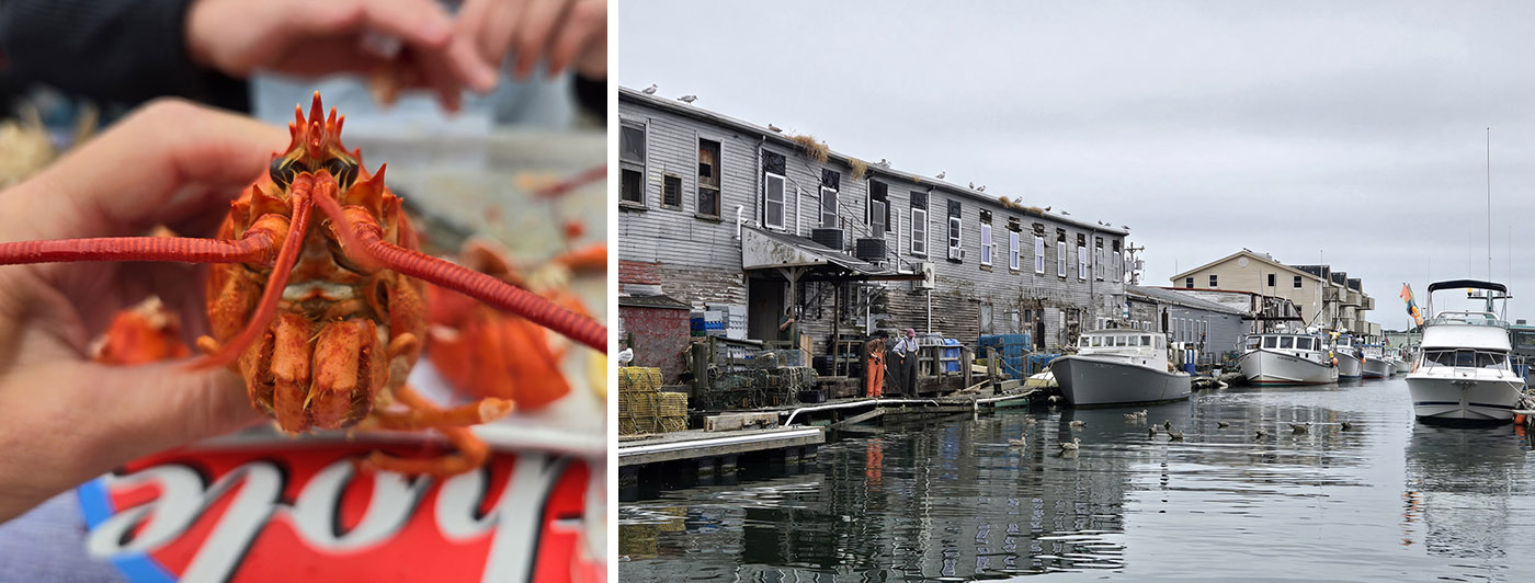 Holland America Line_Portland_warf and lobster_Nov 2024