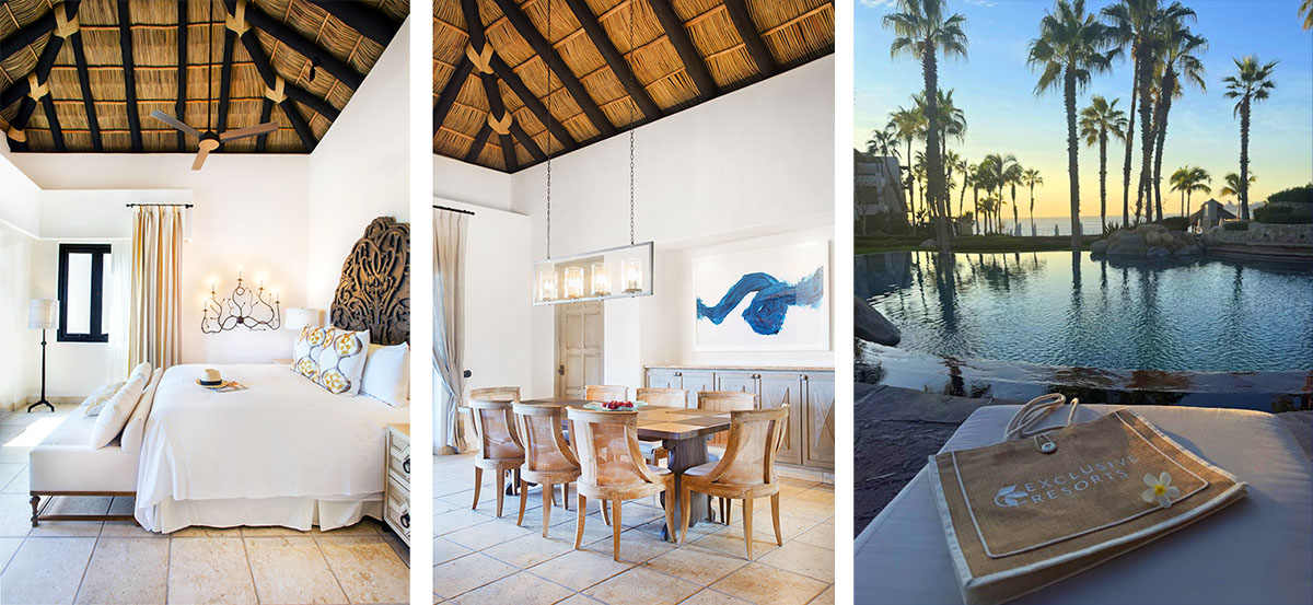 Los Cabos_montage_Nov 2024