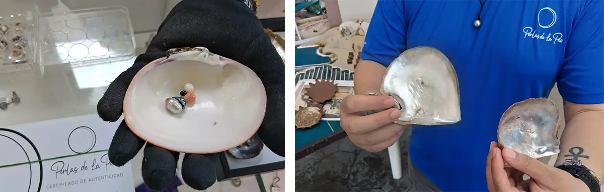 Perlas de La Paz