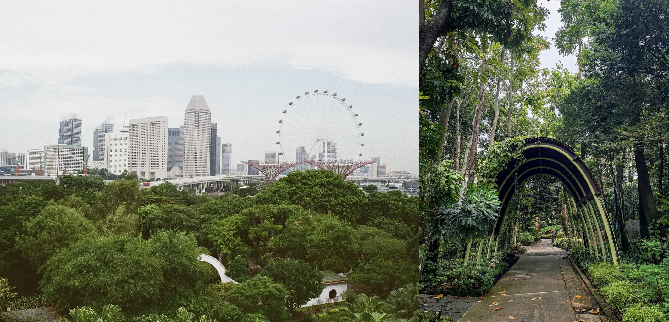 Singapore_SkyTrees_View_Analise Saavedra_Dec 2025