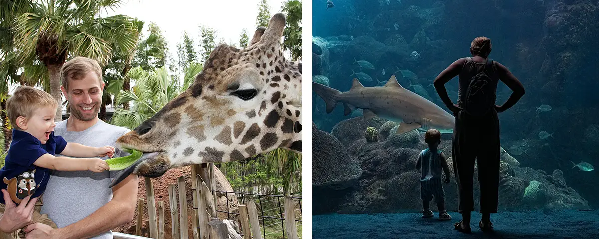 Tampa_Lowry Park Zoo_Florida Aquarium_Visit Tampa Bay