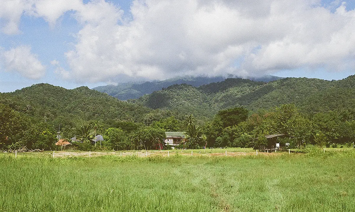 Thailand_HeaderImage_SameongBackroad_AnaliseSaavedra_Jan 2026